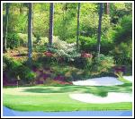 The 2007 Masters