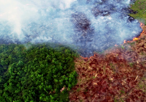 Warming, deforestation turn Amazon into source of CO2