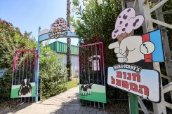Israel in cold war over Ben & Jerry's ice cream ban.jpg
