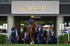 Stradivarius bids to make winning end to Royal Ascot career