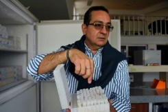 400-year-old Ecuadoran beer resurrected from yeast