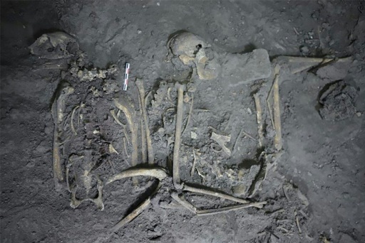 To strengthen ties, ancient Maya gifted neighbors a spider monkey