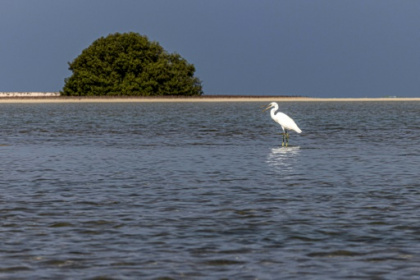 experts say nature and climate can't be siloed.jpg