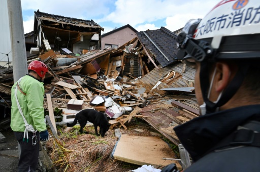 Ruin and rescue dogs in quake-ravaged Wajima