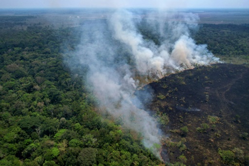 Brazil's Amazon sees worst 6 months of wildfires in 20 years