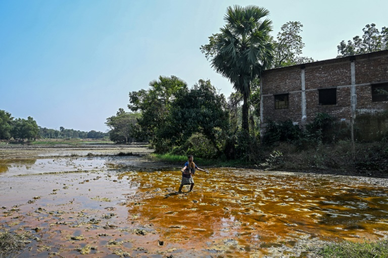 Battery boom drives Bangladesh lead poisoning epidemic