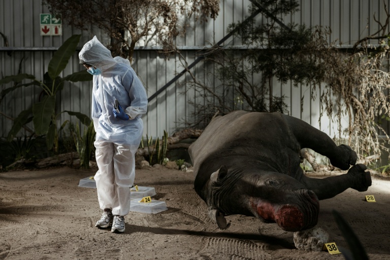 Inside South Africa's wildlife CSI school helping to catch poachers