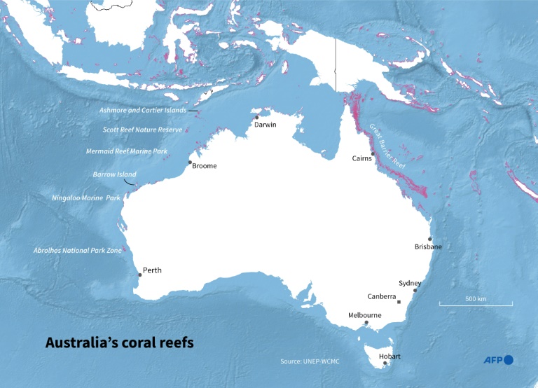 'Unprecedented' mass bleaching drains life from Australian reef