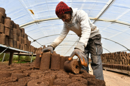A man arranges rolls of olive pomace at the grounds of start-up Bioheat in the town of Sanhaja near Tunis