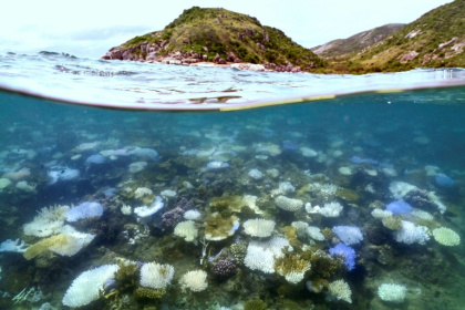 Australia has just sweltered through its hottest 12 months on record, a period of drenching floods, tropical cyclones and mass coral bleaching