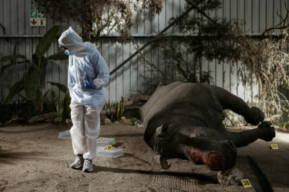 The Wildlife Forensic Academy is set inside a warehouse in a private game reserve