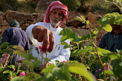 Khalaf Allah al-Talhi: 'I love roses and take care of them more than I care for my own children'