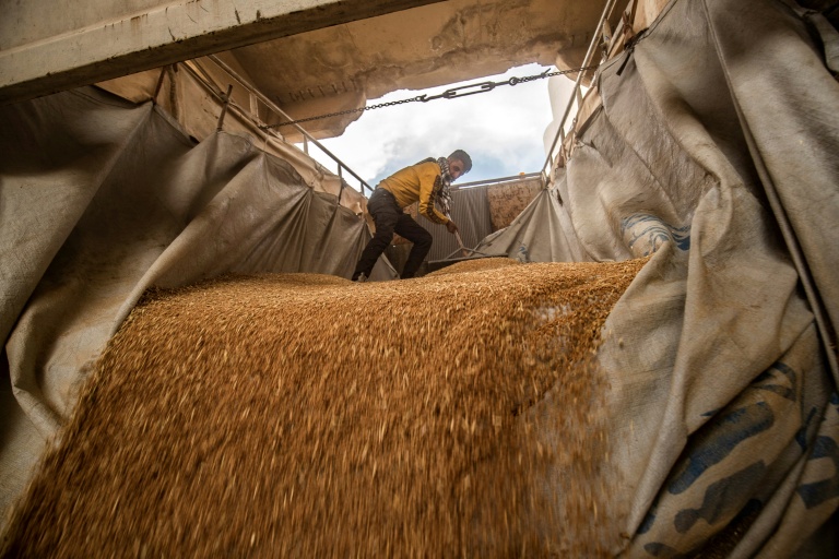 Syria's wheat war: drought fuels food crisis for 16 million