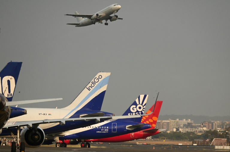 Snakes on a plane: Indian smuggler caught with venomous vipers