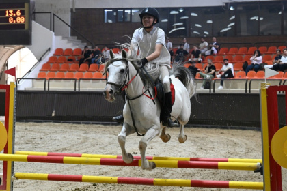A rider competes at the Al-Nasr Equestrian Show Jumping Championship in Dimas, northwest of Damascus - LOUAI BESHARA (AFP)