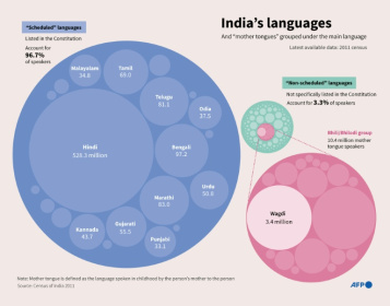 Infographic chart showing India's mother tongue languages - John SAEKI (AFP)