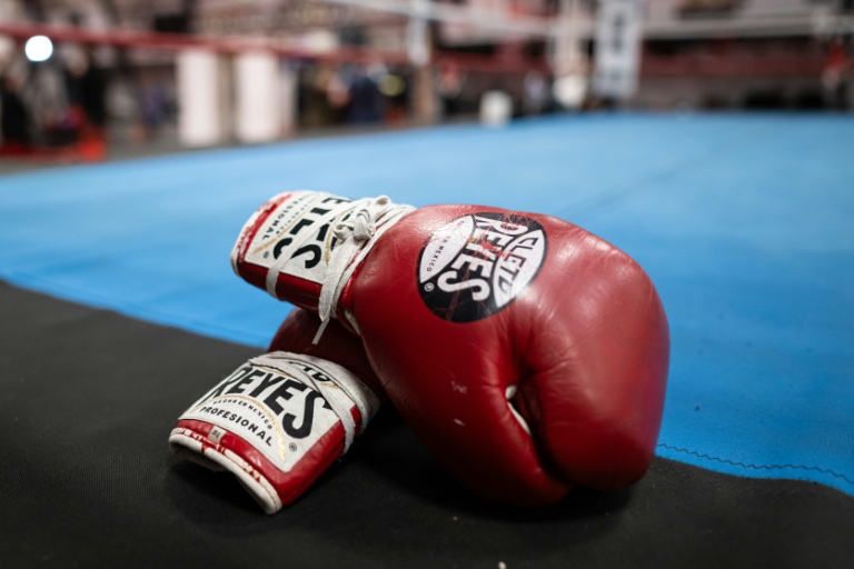 Deaths could spell end for Japanese boxing, says commission chief