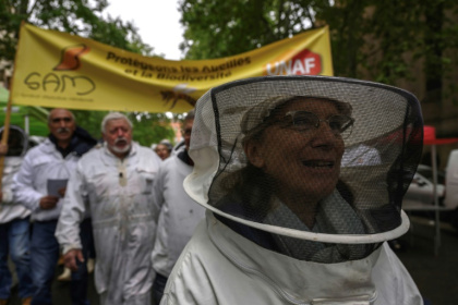 Beekeepers have branded the pesticide 'a bee killer' - Ed JONES (AFP)