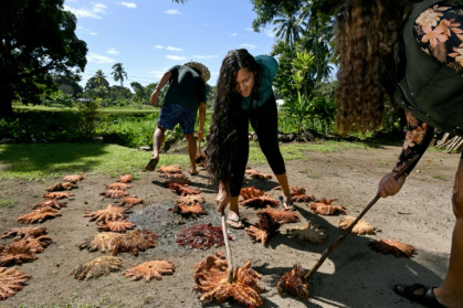 The Cook Islands is waging a war against crown-of-thorns starfish, a coral-munching species eating through tropical reefs already weakened by climate change - William WEST (AFP)