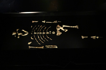 The 52 fragments will be shown for 60 days as part of the 'People and their Ancestors' exhibition - Michal Cizek (AFP)