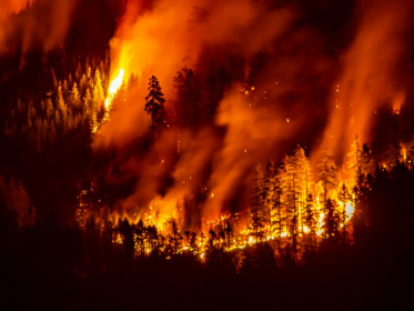 A wildfire burns on Mount Underwood near Port Alberni, on Vancouver Island, British Columbia, on August 12, 2025 - Colby Rex O'Neill (AFP)