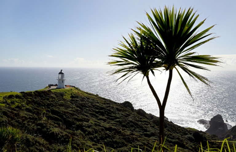 New Zealand's seas warming faster than global average: report