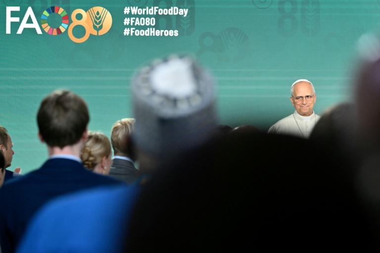 Pope slams 'collective failure' of world hunger affecting millions