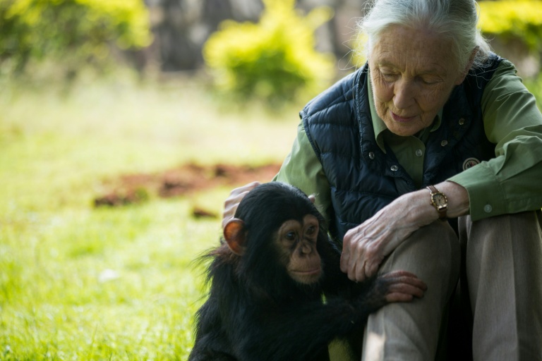 Jane Goodall's final wish: blast Trump, Musk and Putin to space