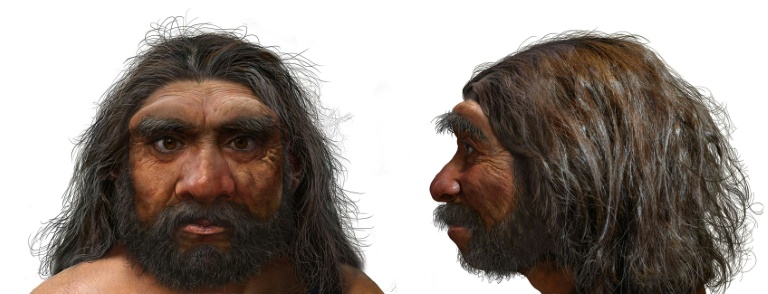 Million-year-old skull could change human evolution timeline