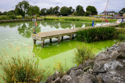 Blue-green algae infested water is pictured in Battery Harbour on the shores of Lough Neagh, in Northern Ireland, on August 22, 2025 - Paul Faith (AFP)