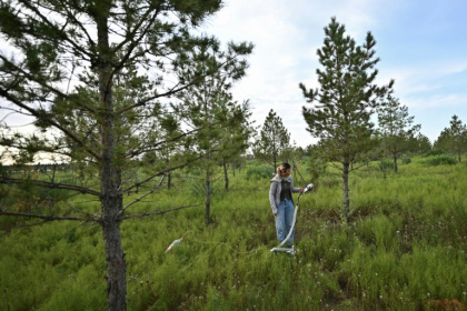 A student works in the greening project across arid and desert regions, known as the "Great Green Wall" in the Kubuqi Desert, in Ordos, in China's northern Inner Mongolia region - Pedro PARDO (AFP)