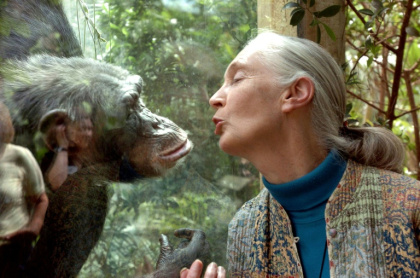 Jane Goodall, the world's foremost authority on chimpanzees, has died, aged 91 - JENS SCHLUETER (AFP)