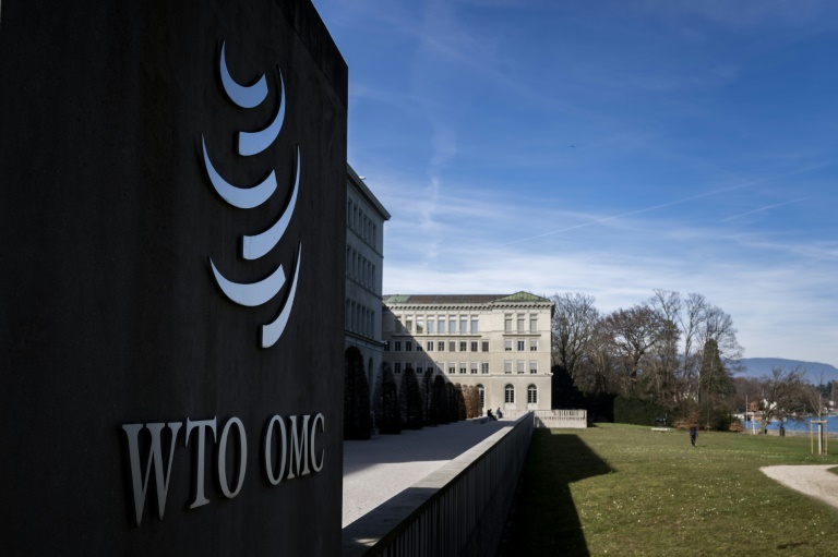 WTO must 'reform or die': talks facilitator