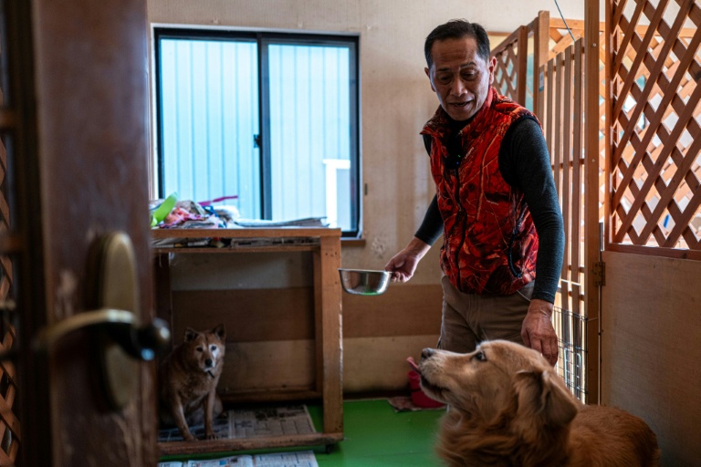 Former Fukushima worker devotes life to abandoned pets