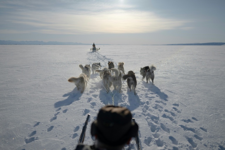 Greenland's elite dogsled unit patrols desolate, icy Arctic