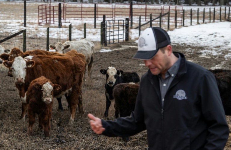 US cattle farmers caught between high costs and weary consumers