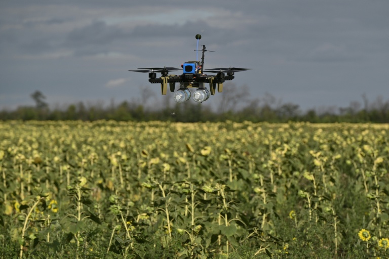 Sci-fi or battlefield reality? Ukraine's bet on swarm drones