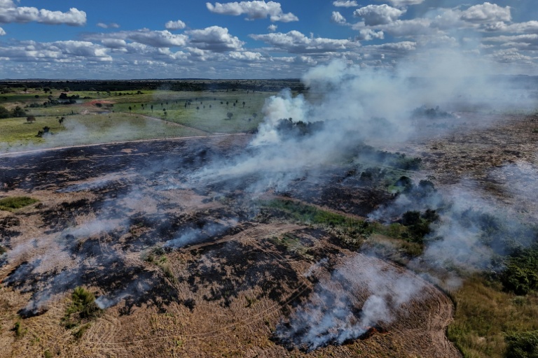 Deforestation in Brazil's Amazon drops to lowest level since 2019