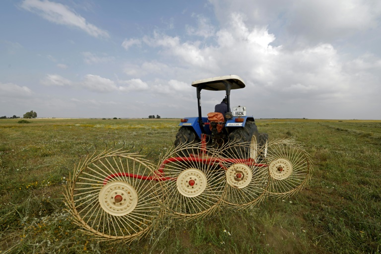 Morocco farmers saw hope in rain, but Mideast war inflates production costs