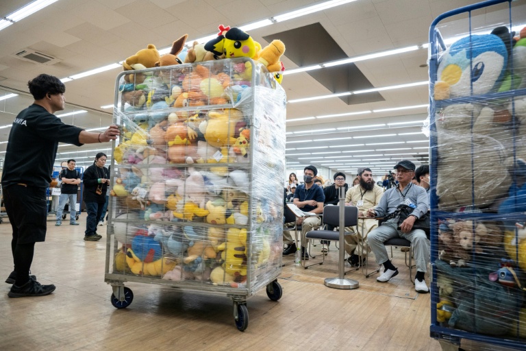 Stuffed toys and surfboards: Japan used goods market booms overseas