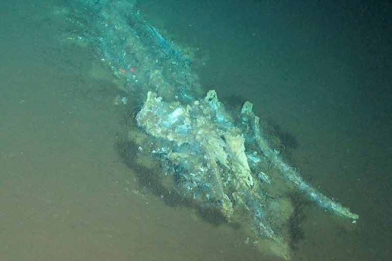 World's largest whale graveyard discovered by Chinese sub