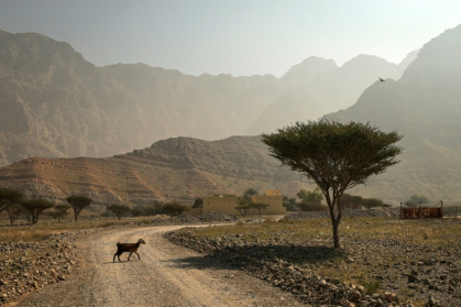 El Nino could develop before the end of the year, pushing temperatures higher - FADEL SENNA (AFP)