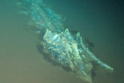Scientists said discovering a necropolis of this scale was completely unexpected - Handout (AFP)