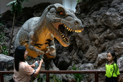 Researchers have found a trove of dinosaur fossils across Thailand offering insight into the creatures that roamed the planet millions of years ago - Chanakarn LAOSARAKHAM (AFP)